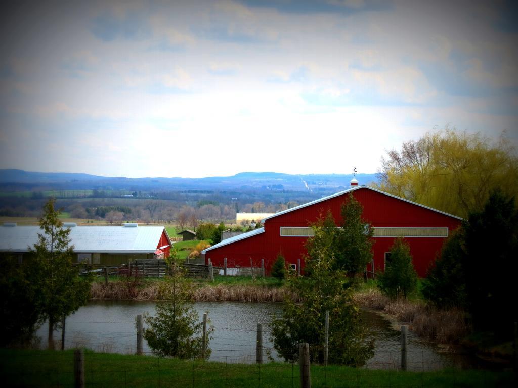 Clarksburg Heathcote Haven Bed & Breakfast المظهر الخارجي الصورة